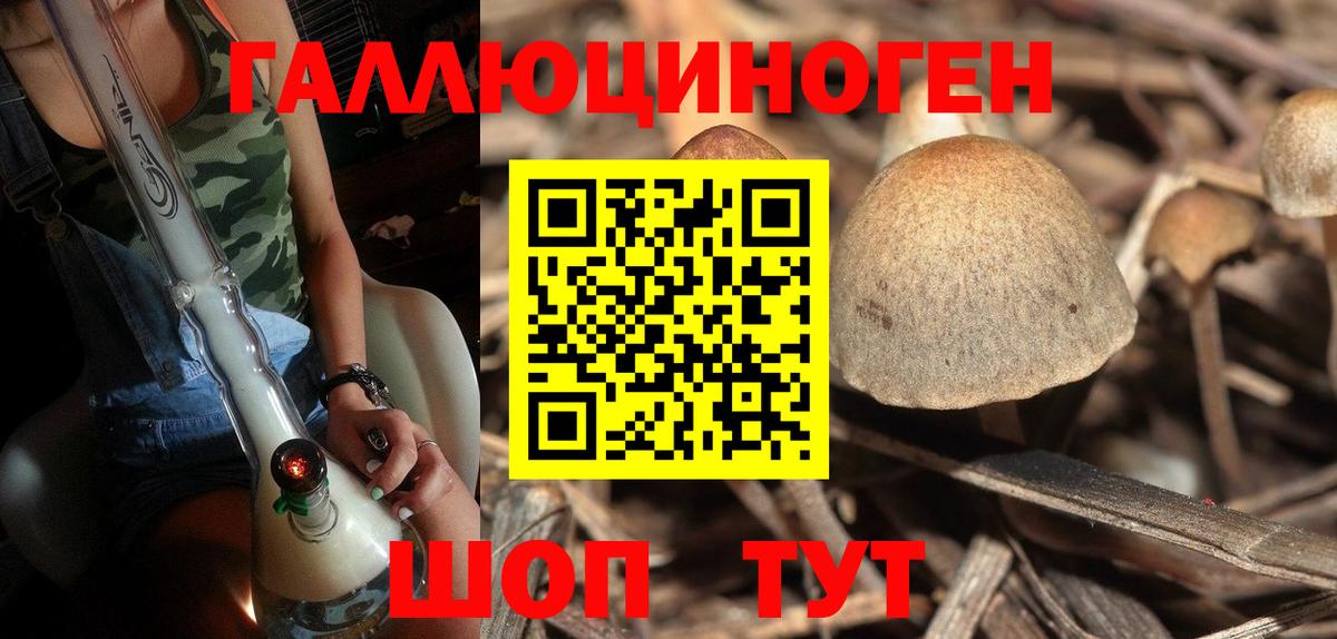 Ливны  Галлюциногенные грибы Magic Shrooms  Галлюциногенные грибы мицелий  Вход с VPN 