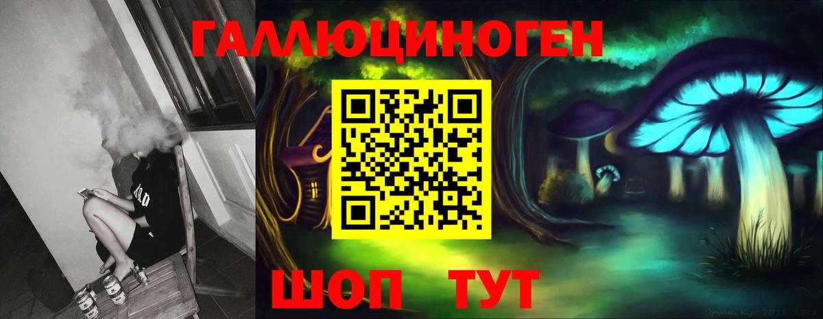 Галлюциногенные грибы Psilocybe Ливны